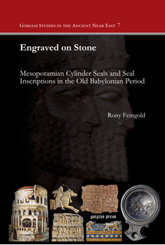 Picture For Author Rony  Feingold