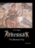 Picture of  'The Blessed City'