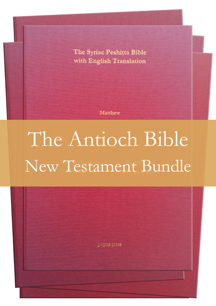 Picture of Antioch Bible - New Testament Bundle